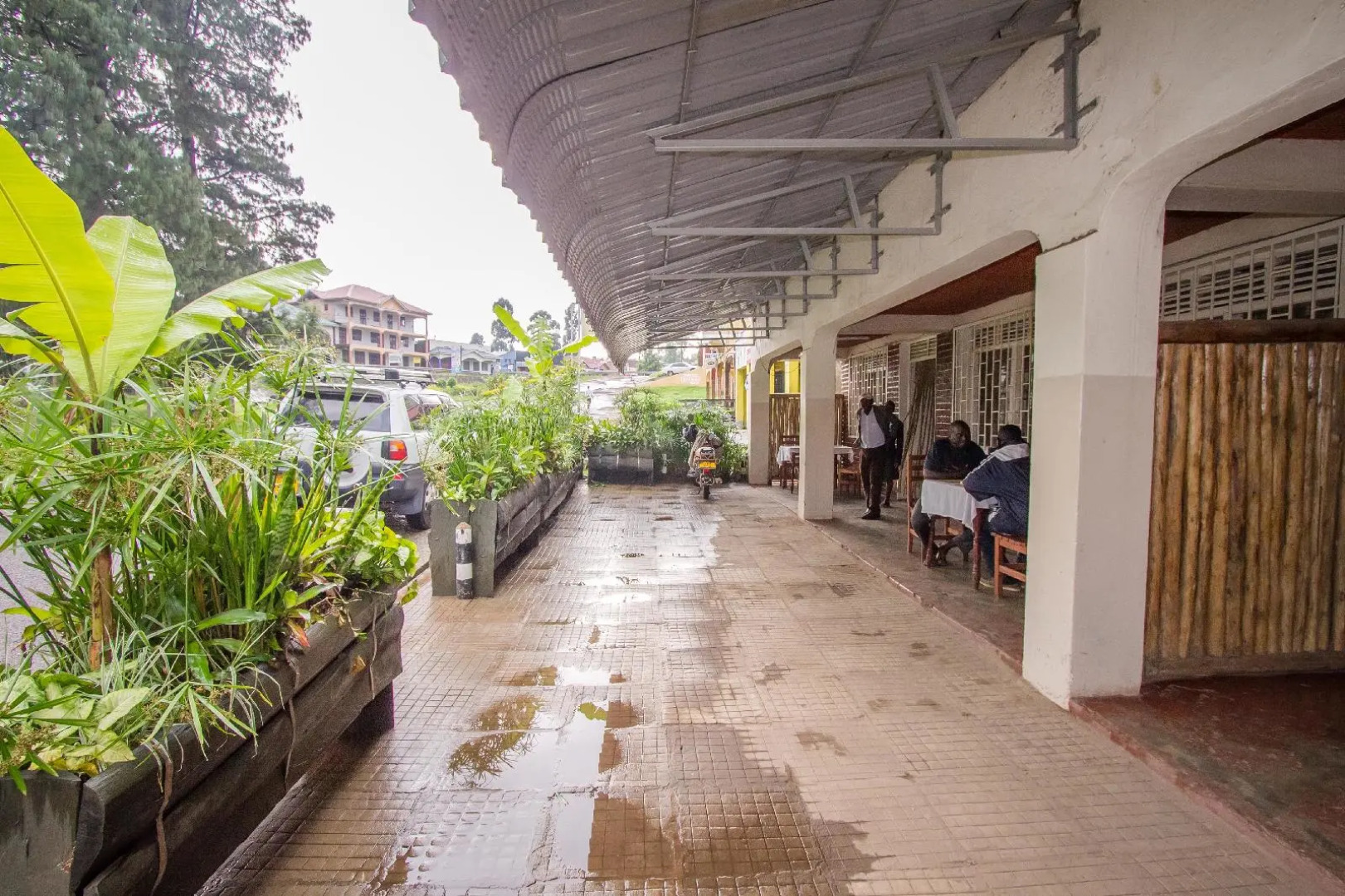 Mucha Bistro and Guesthouse