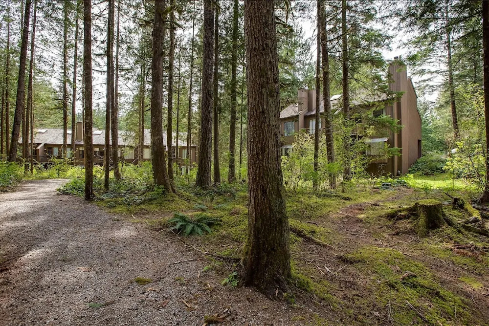 Snowater Condo 59 - A Great Family Condo With a Cabin Feel