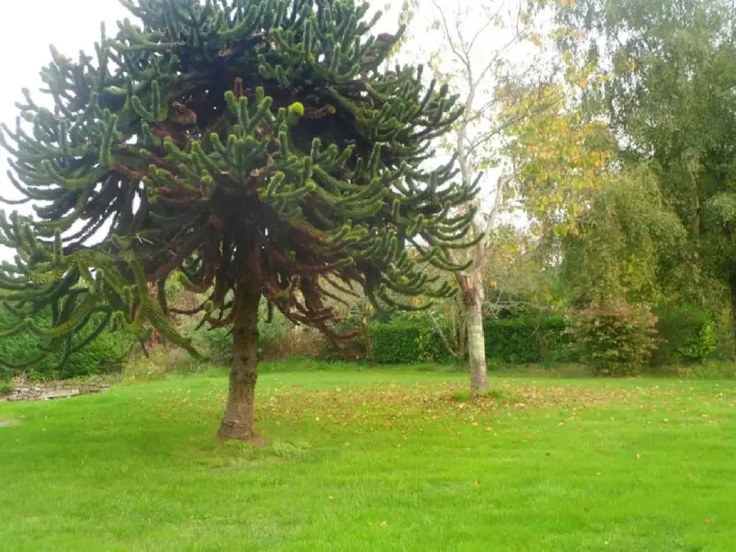 House With 4 Bedrooms In Fouesnant With Enclosed Garden And Wifi 3 Km From The Beach