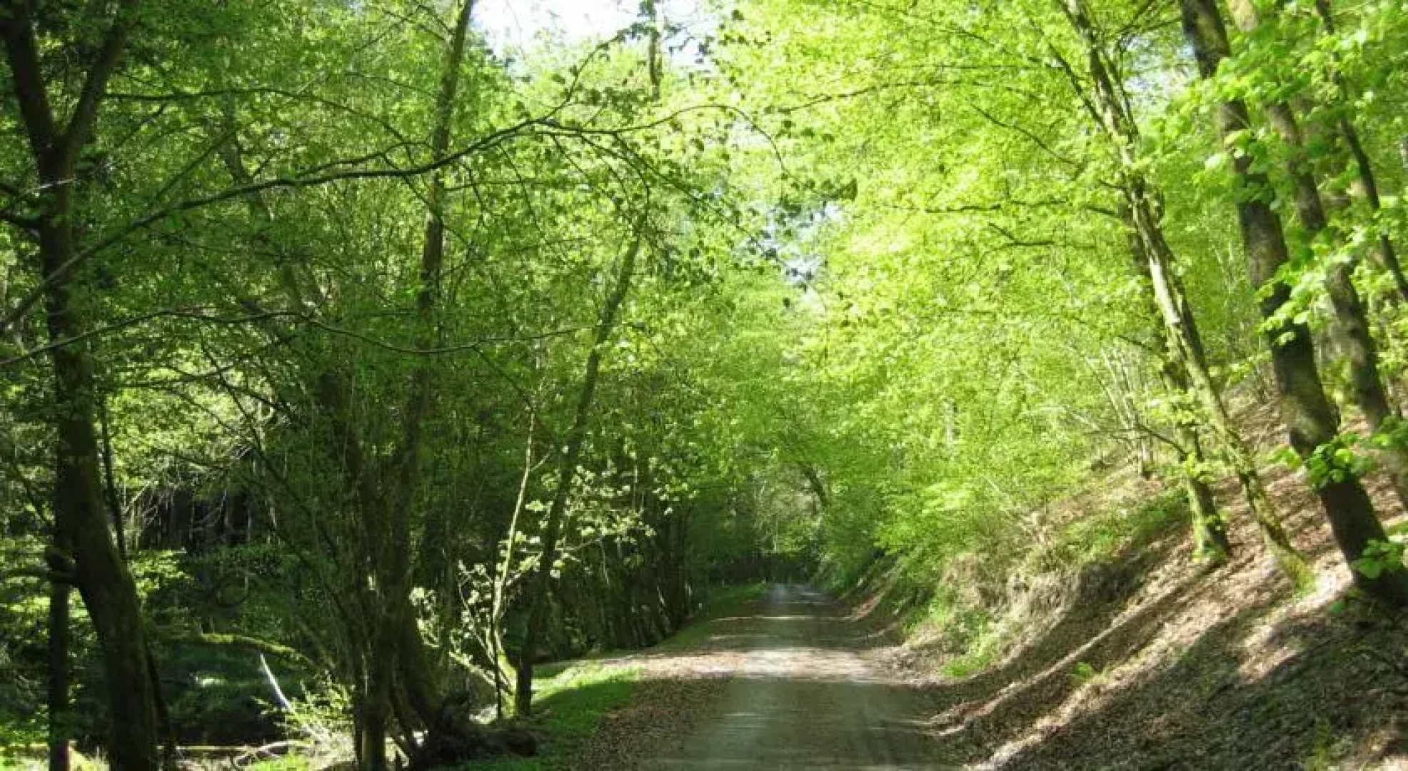 Holiday Home Sans Soucis