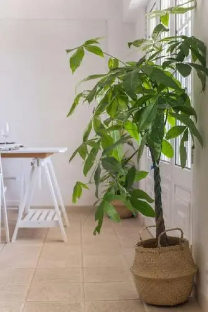 Lisbon Waves Surf Lodge