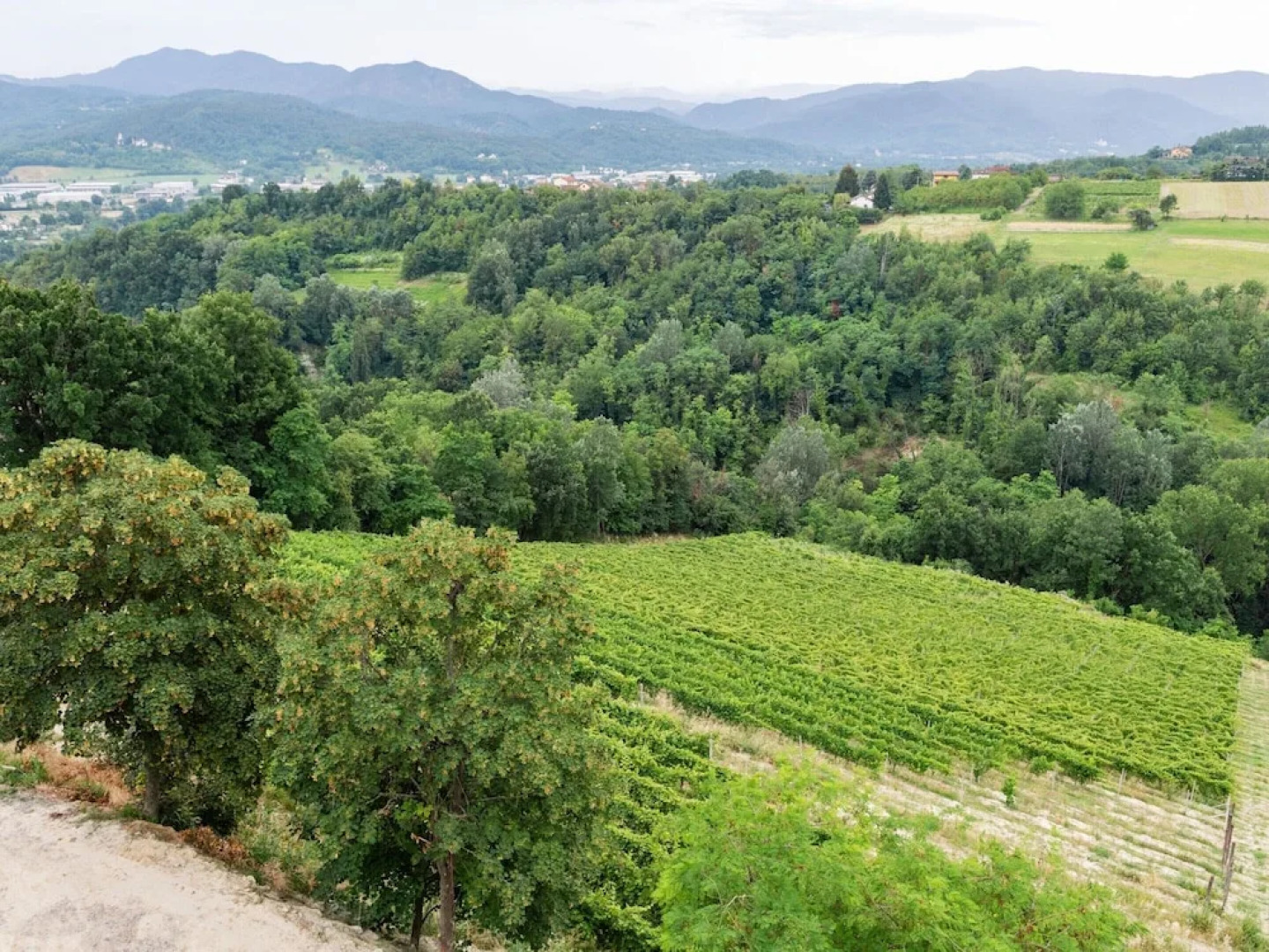 Mansion in Ovada With Pool and Scenic Hills