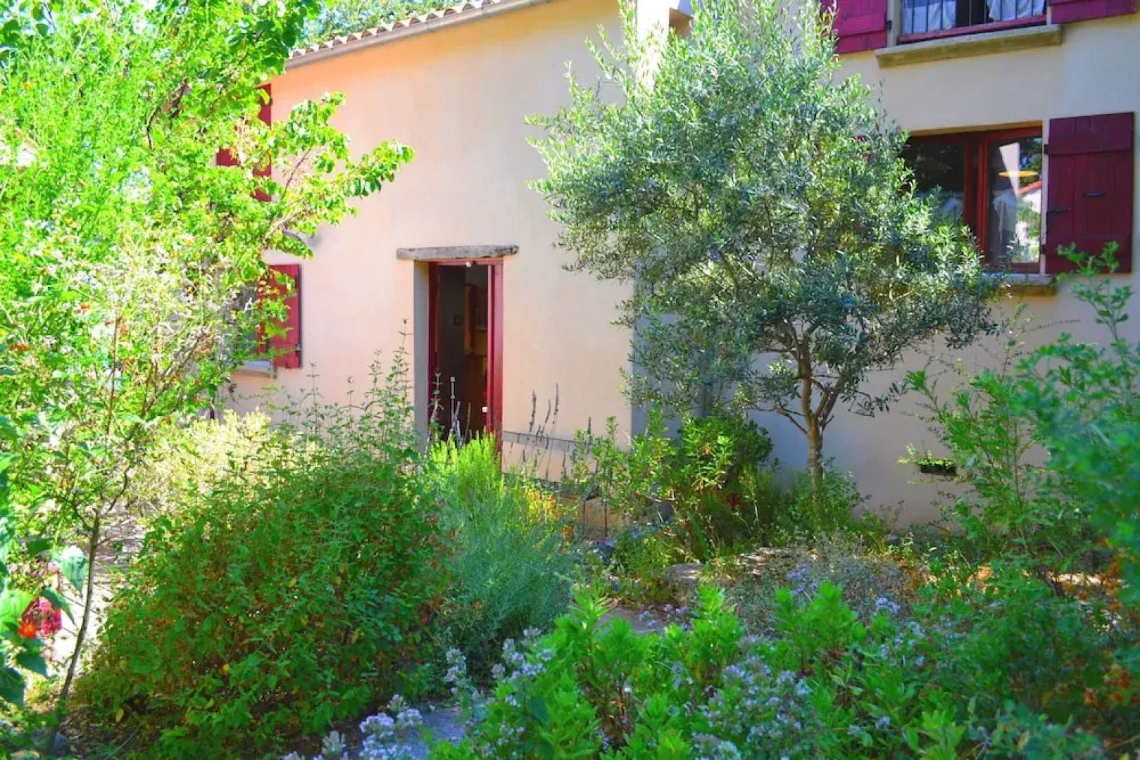 Chambres d'Hôtes Maison de la Vigne