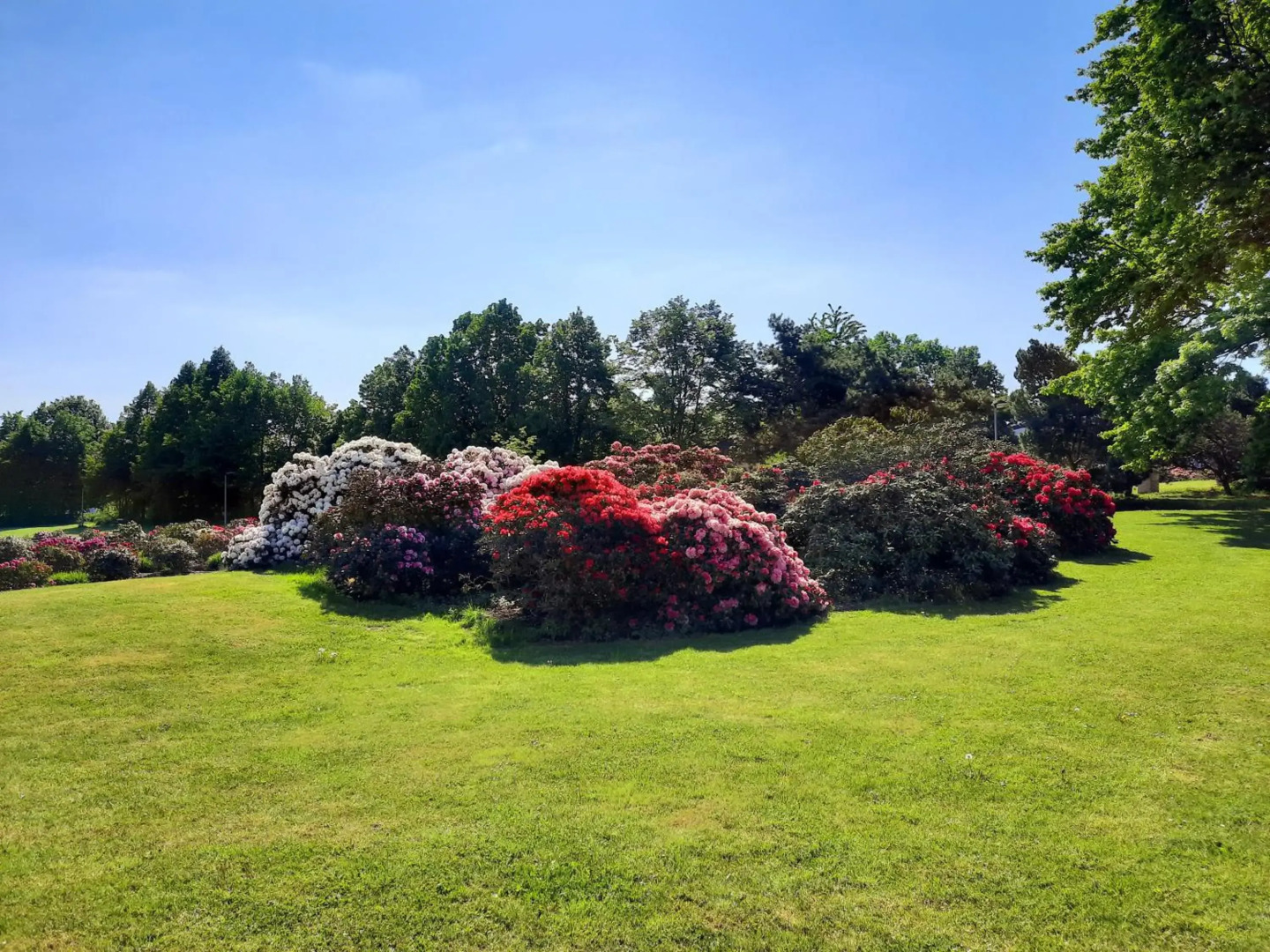 Congress And Educational Centre Floret