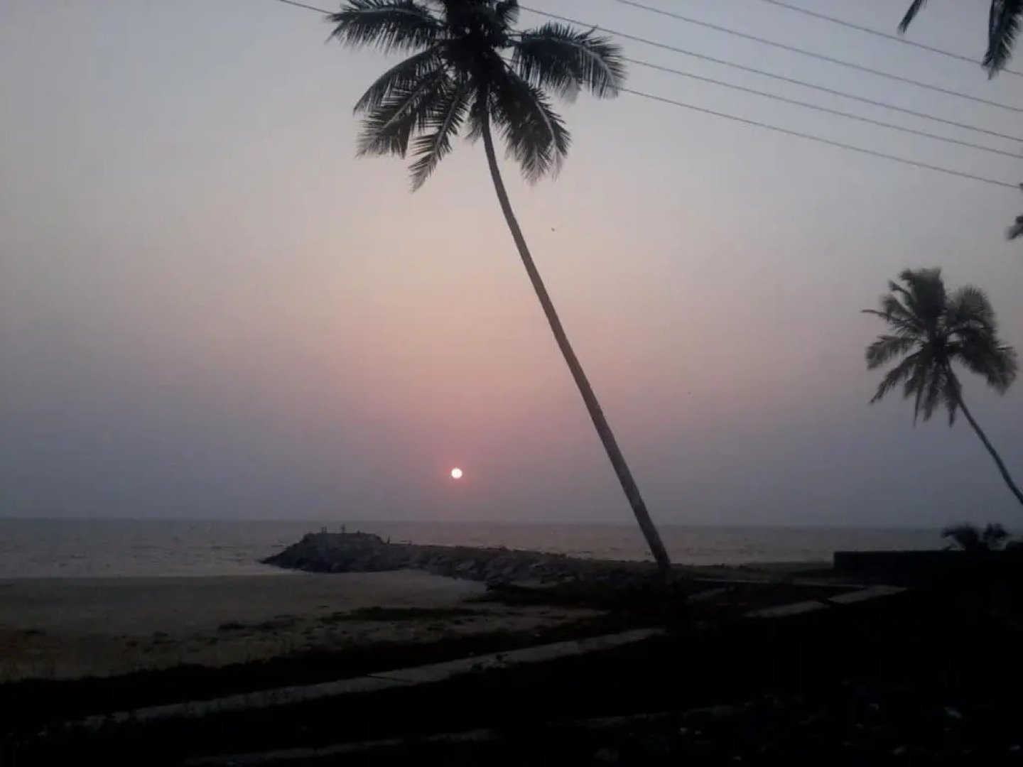 Renai Kappad Beach Resort