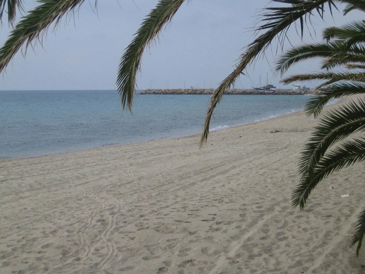 Artemis Studios & Apartments