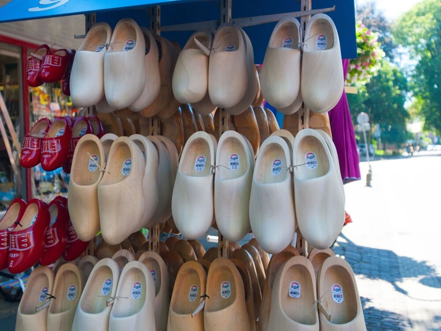Peaceful Dune Retreat With Garden
