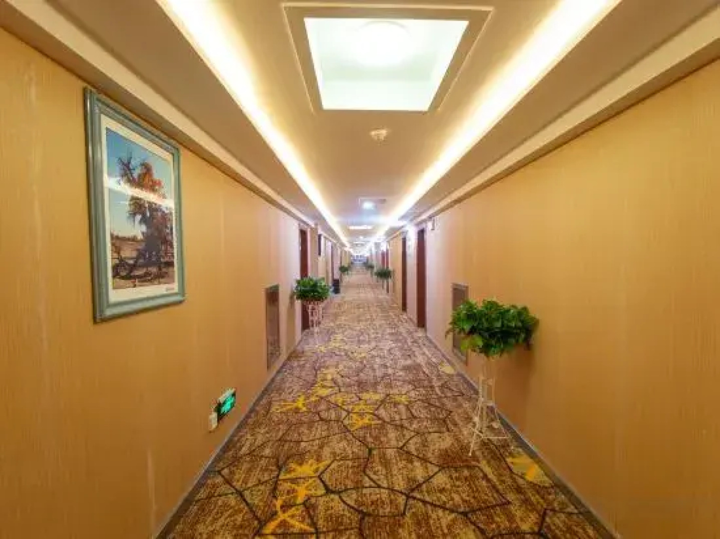 Ruoqiang holiday inn