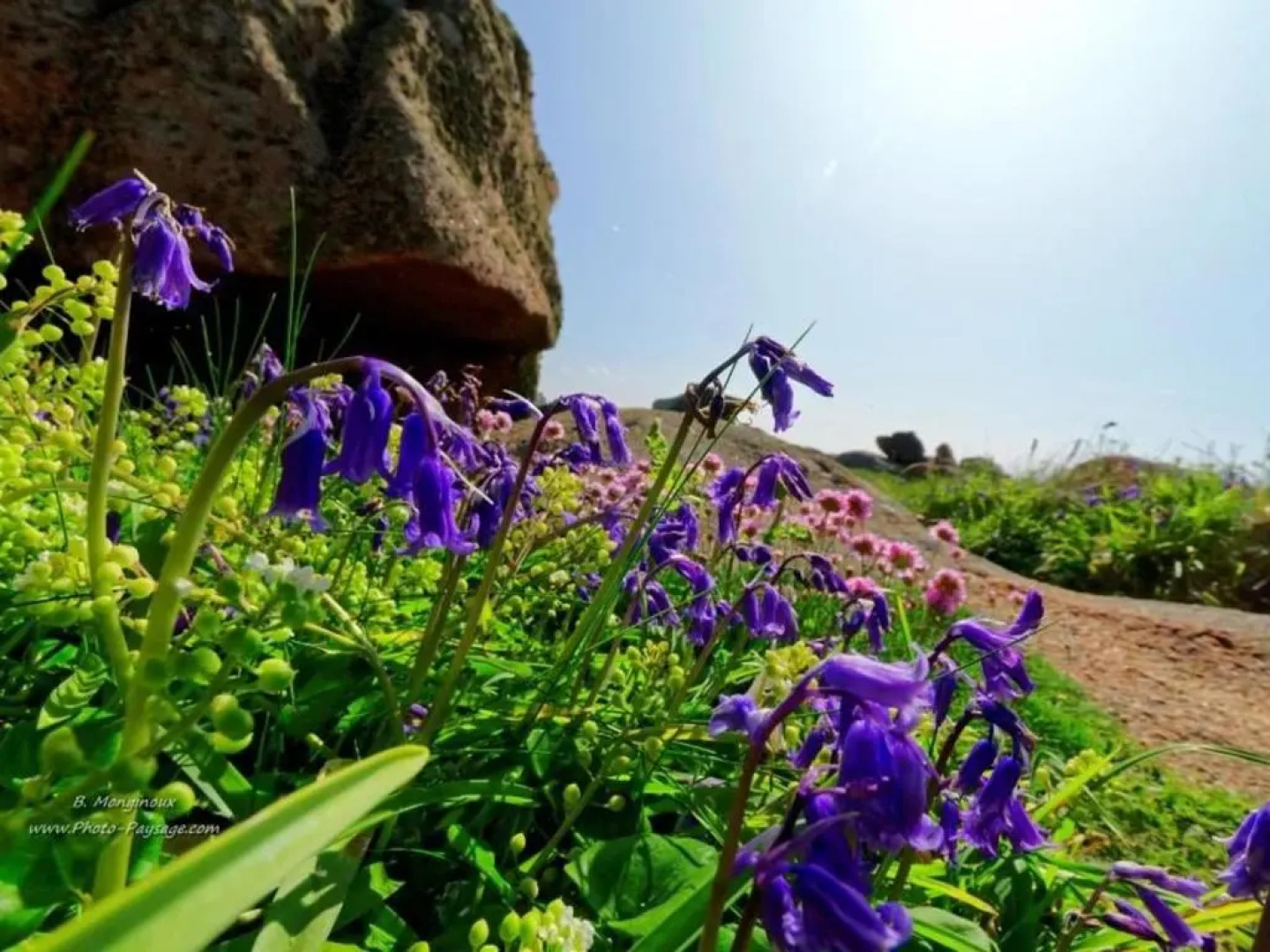 Maison Pleumeur-Bodou, 5 pièces, 8 personnes - FR-1-542-29