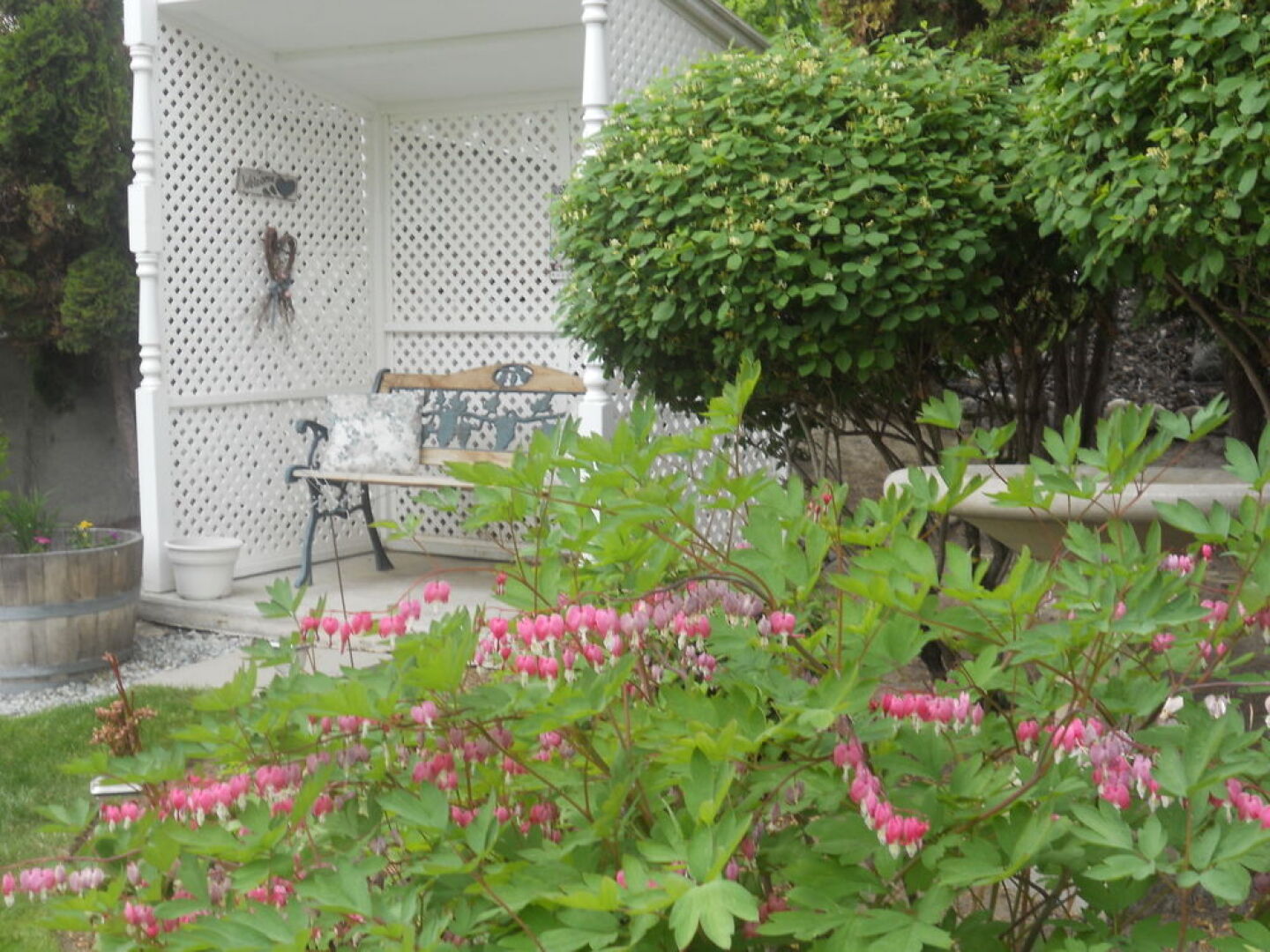 A View to Remember Bed & Breakfast