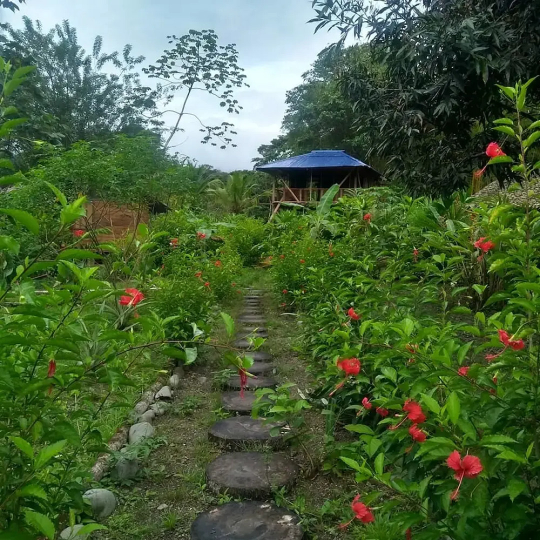 Rio Mar Bahía Solano Choco Colombia