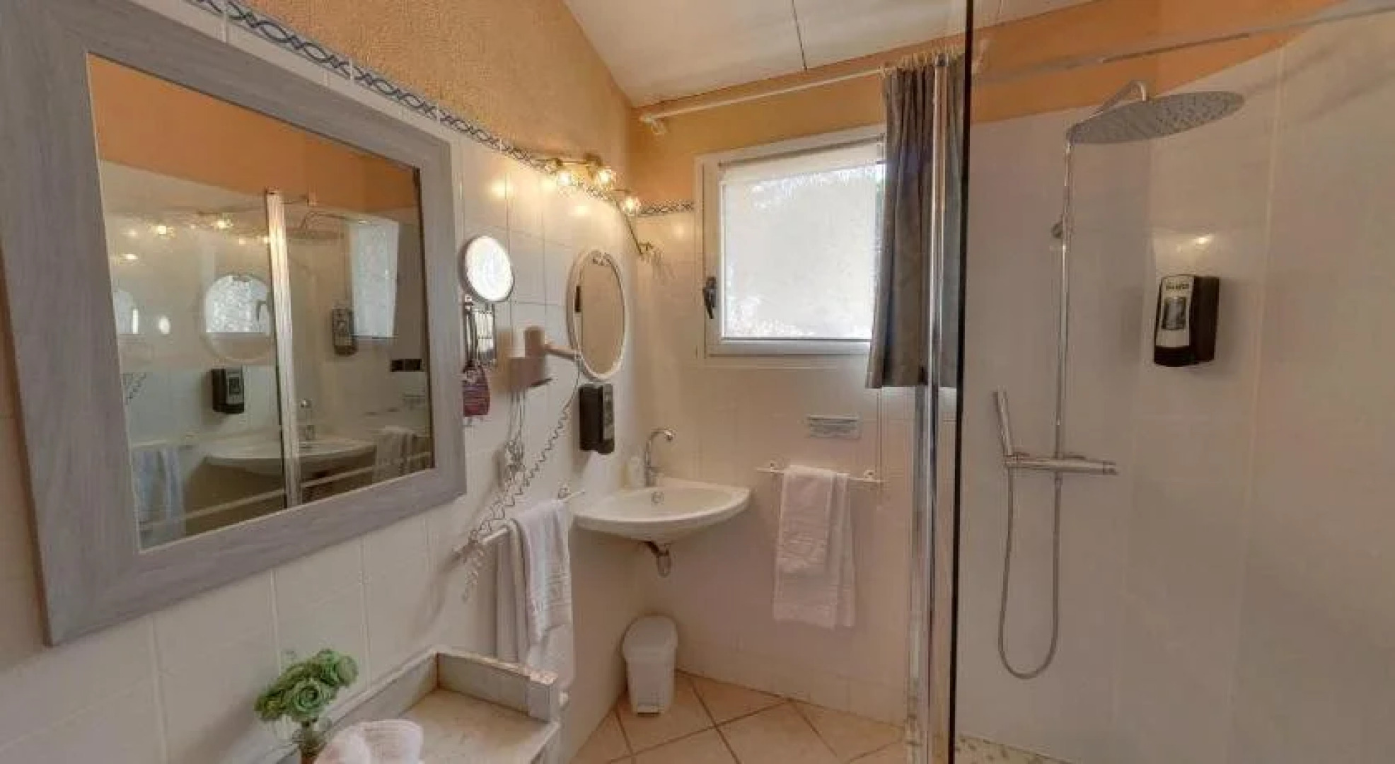 Hôtel du Vieux Moulin