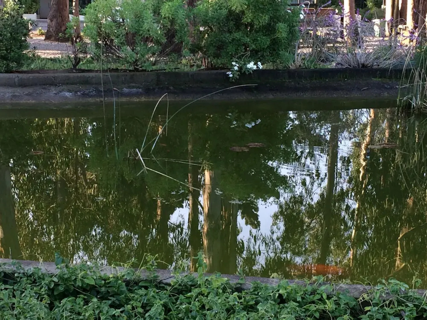 Departamento Rocas de Santo Domingo