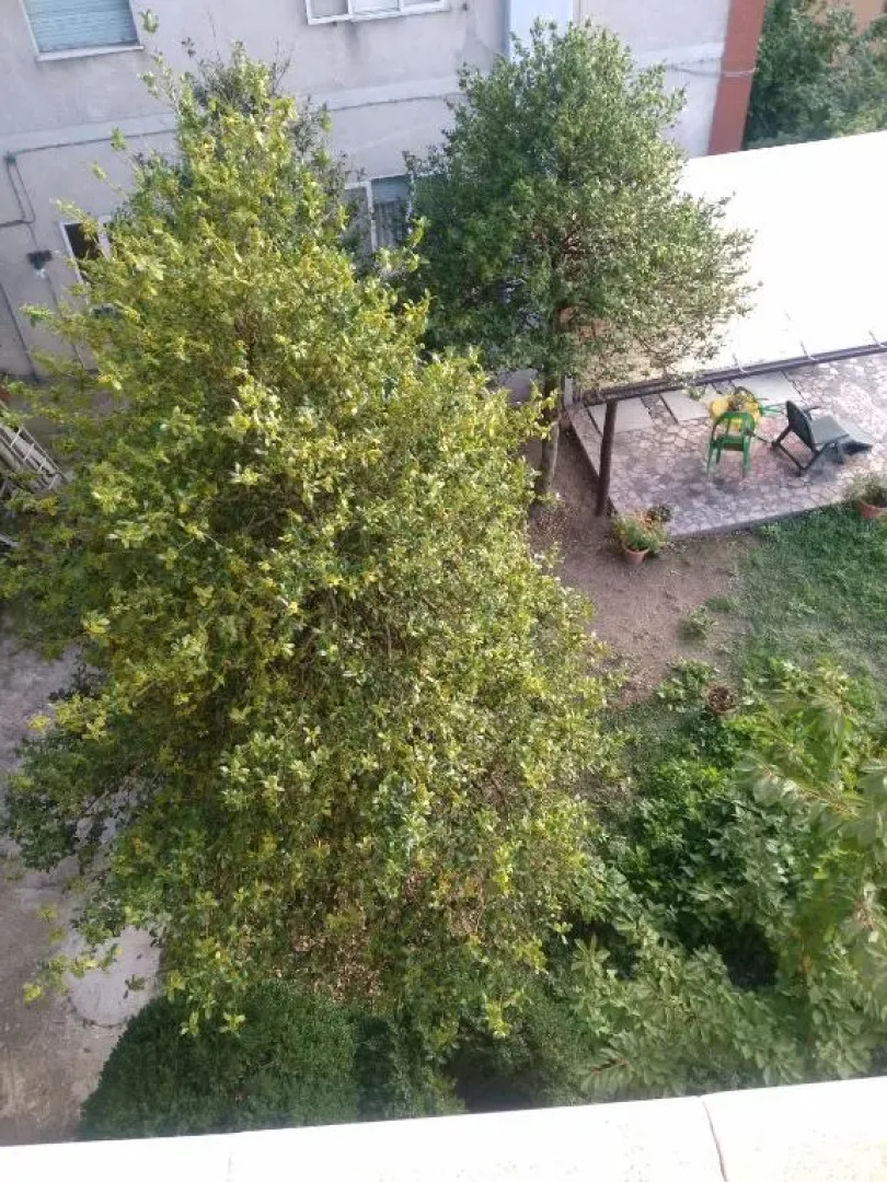 Aritzo appartamento romantico