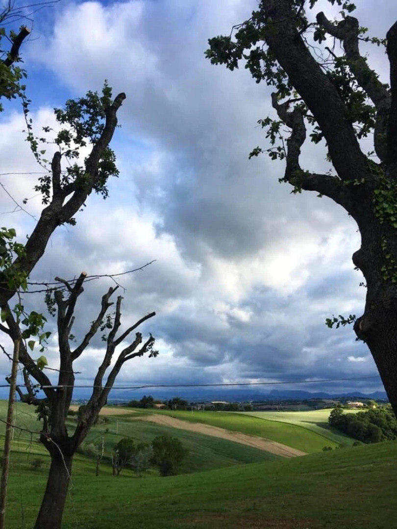 Studio in Castel Colonna, With Pool Access and Enclosed Garden
