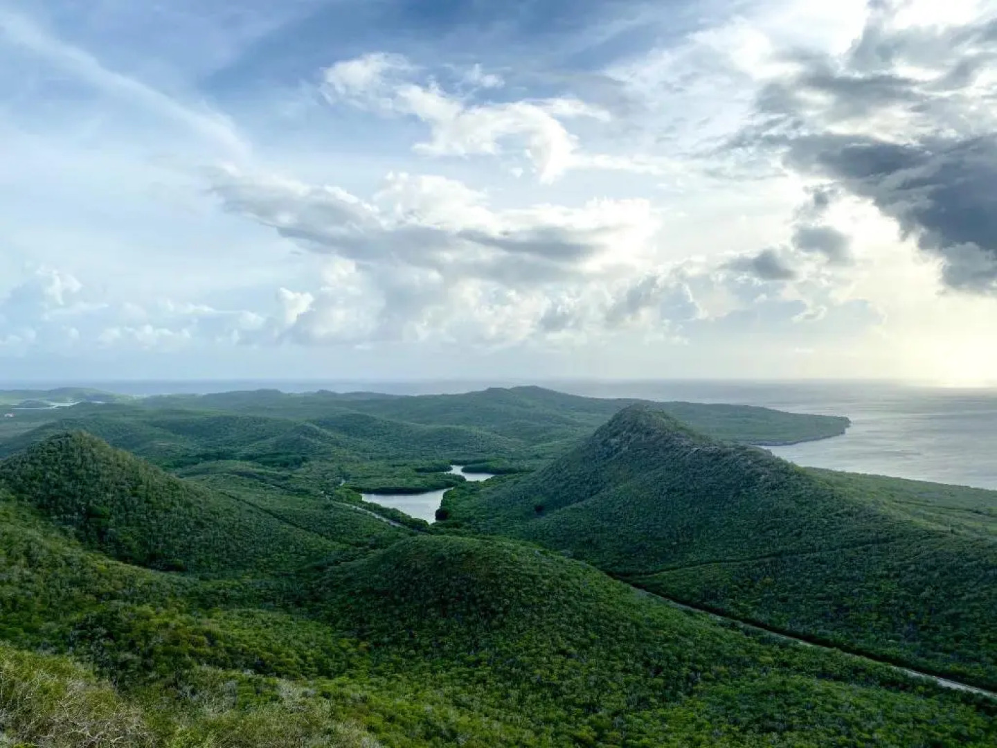 Sol Patch at Jeremi #2