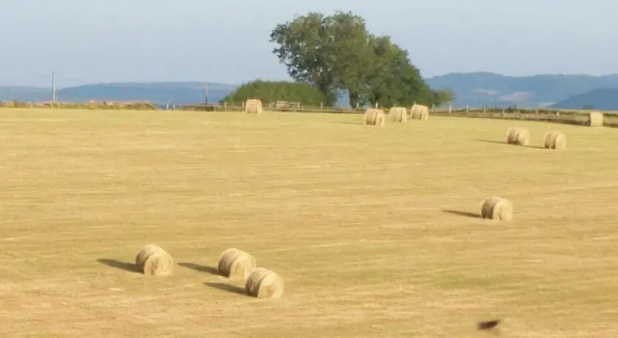Gîtes et Chambres dhôtes Les Passiflores