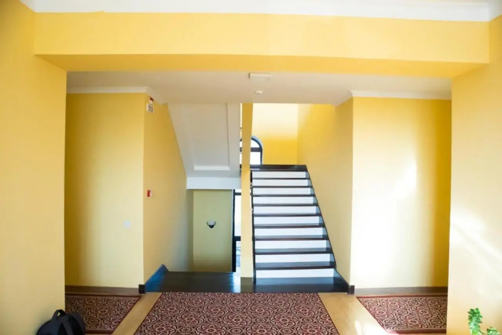 Сад долголетия