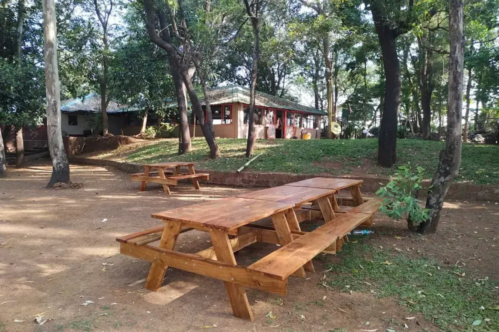 The Jungle Resort Amba