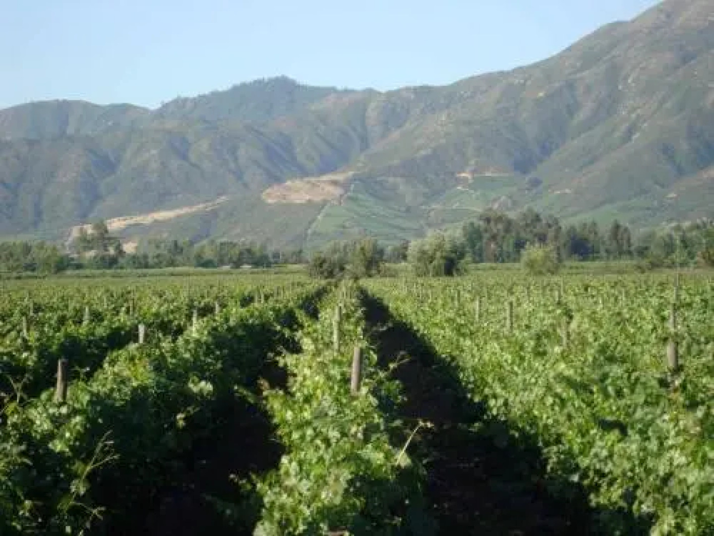 Santa Filomena de Cunaco