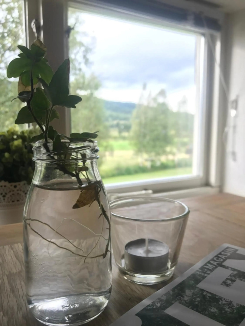 STF Sälen Torgåsgården