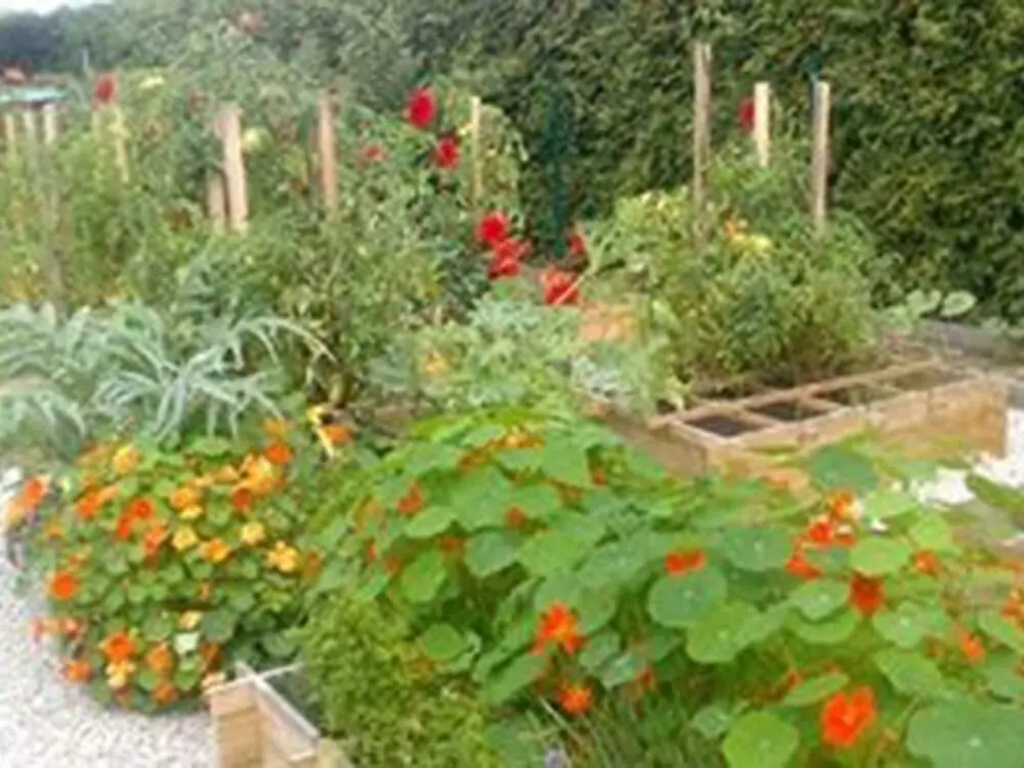 Chambre et Table dhôtes Magaadjukalo