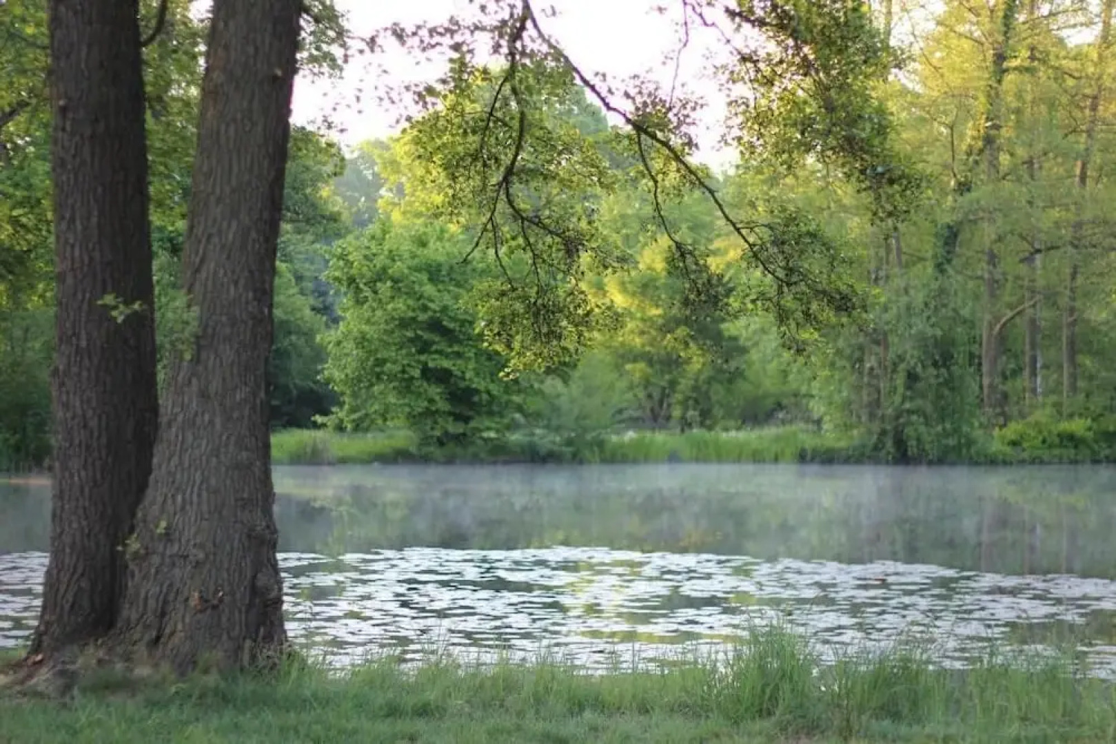 Gasthof & Pension Zur Friedenseiche