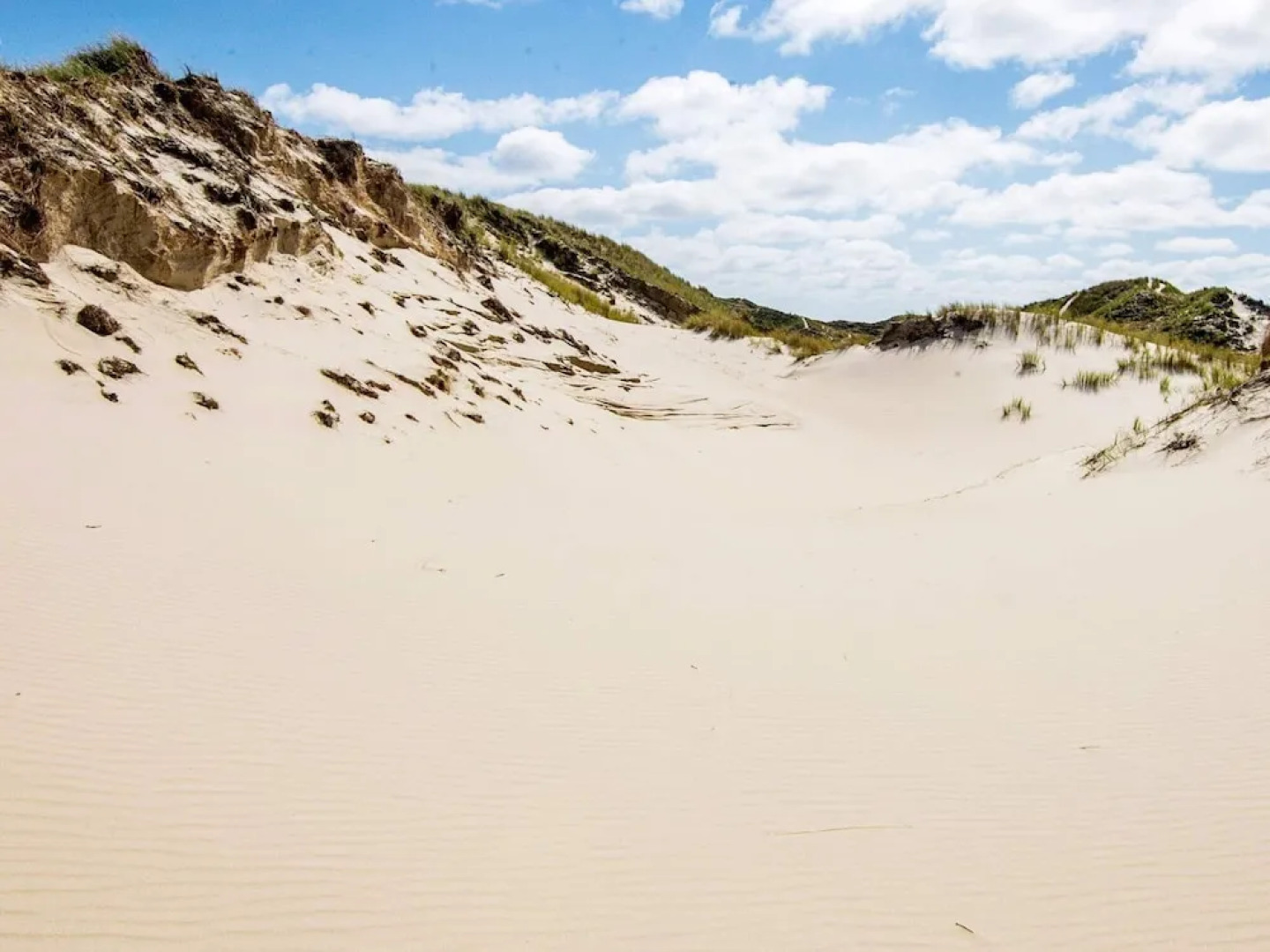 12 Person Holiday Home in Fano