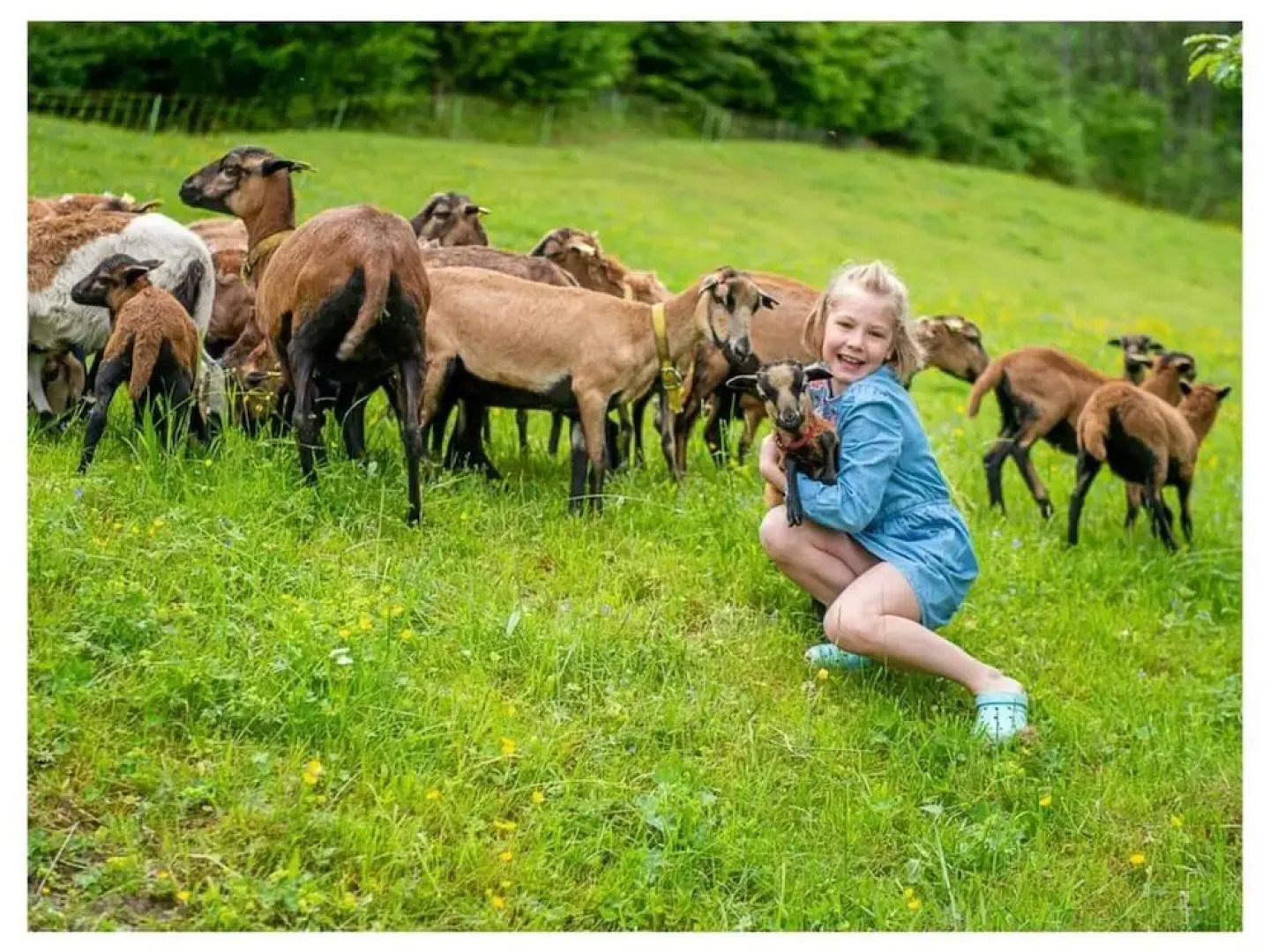Infanglalm "attersee"