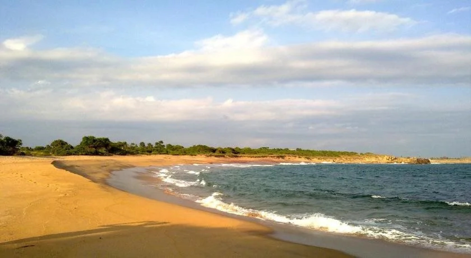 Leopard Corridor Yala