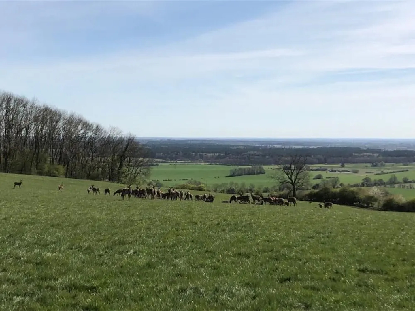 Cosy Lincs Wolds Cottage in Picturesque Tealby