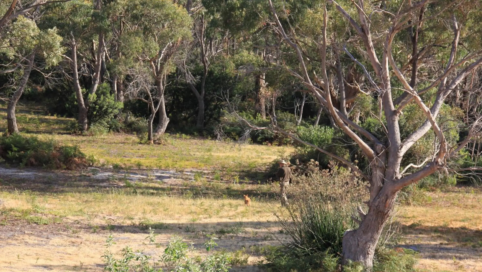 BAY OF FIRES SEACHANGE Ocean frontage