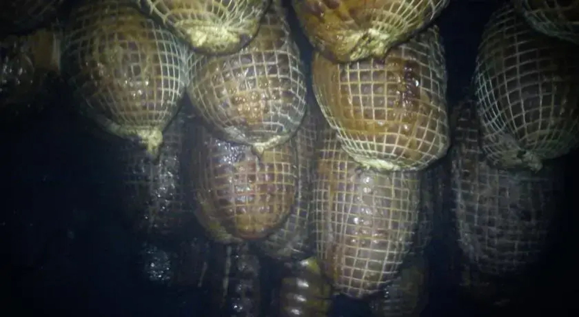 Pensjonat Widok - Bike Hotel