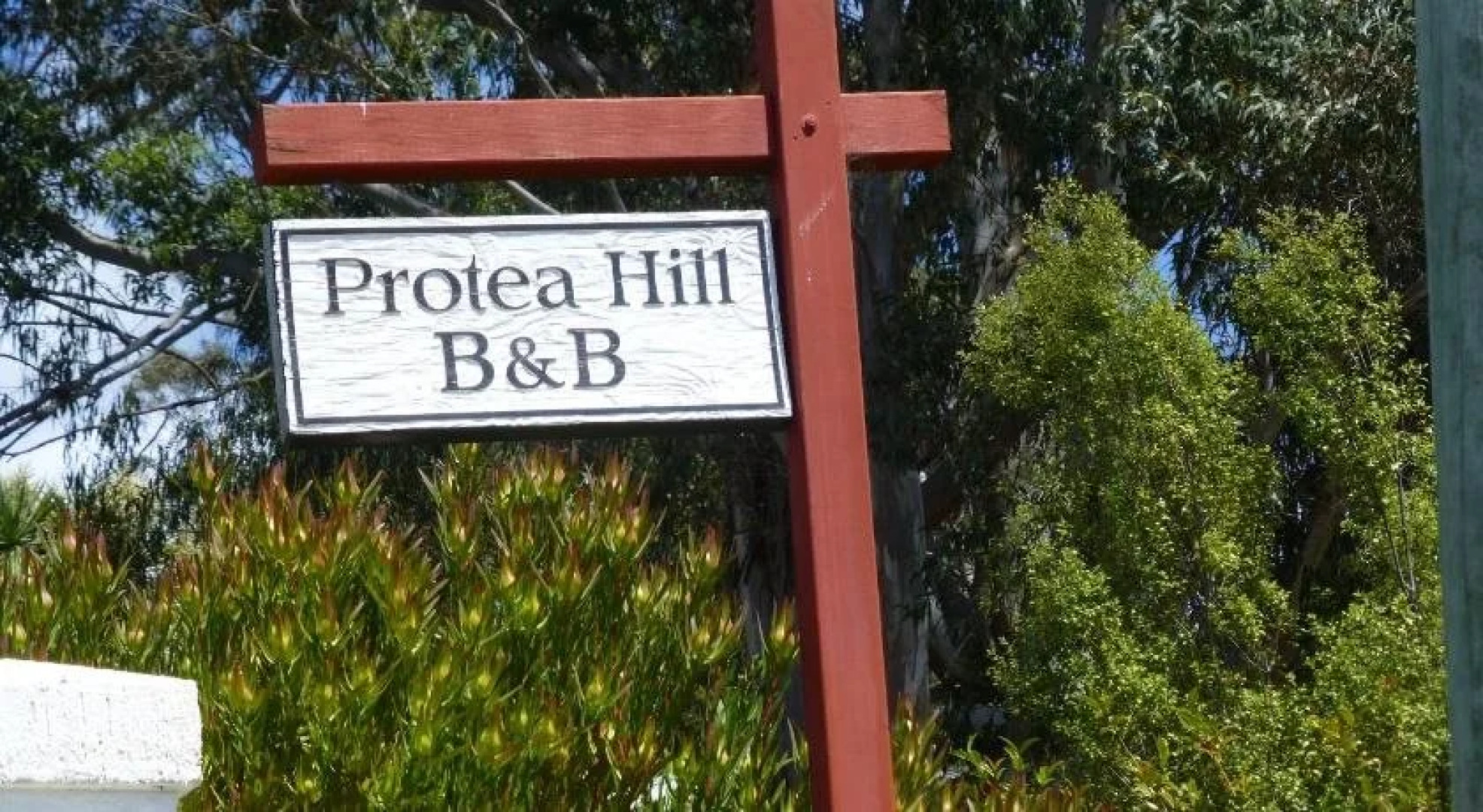 Protea Hill
