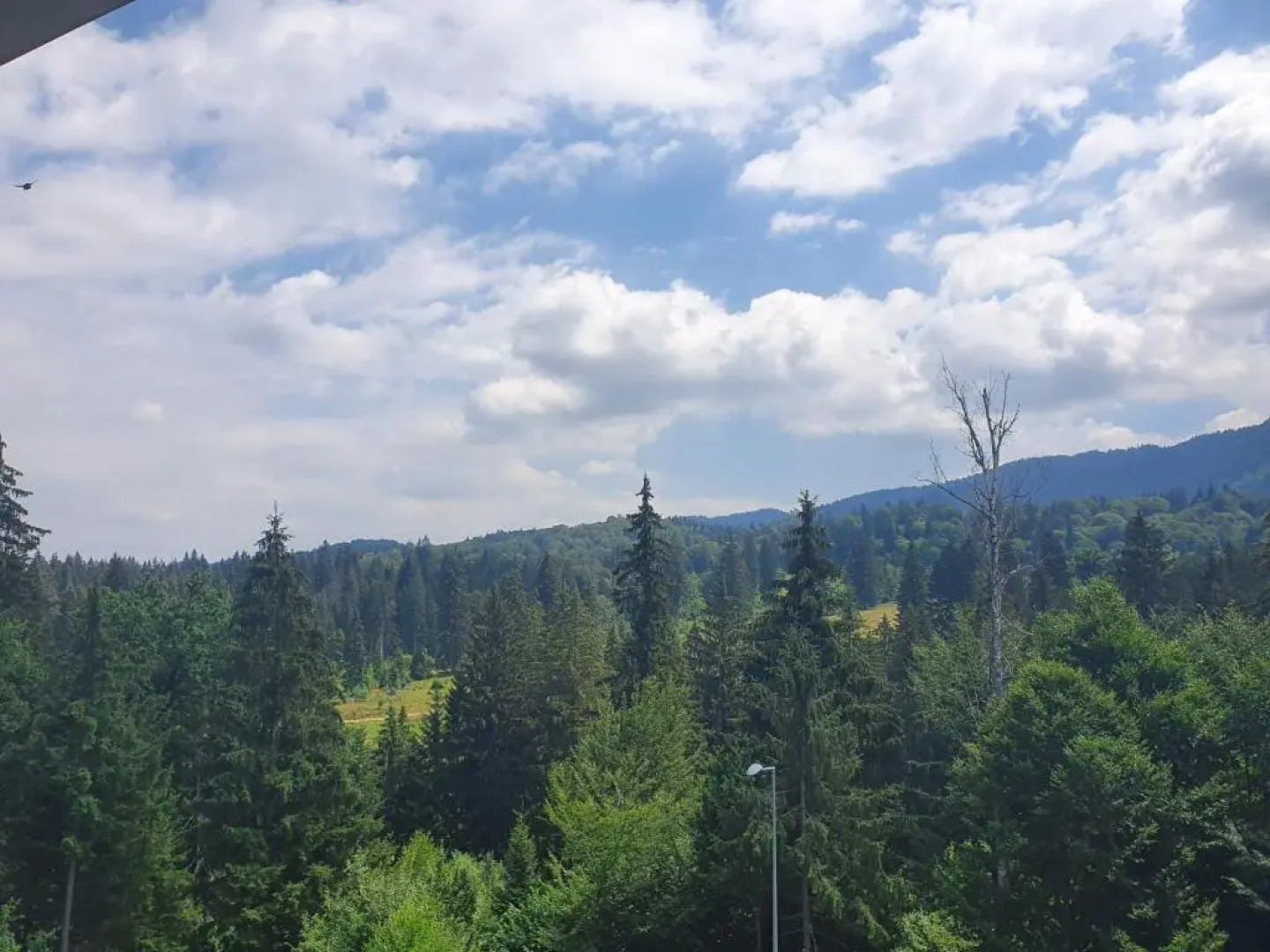 Silver Mountain G1 21 R