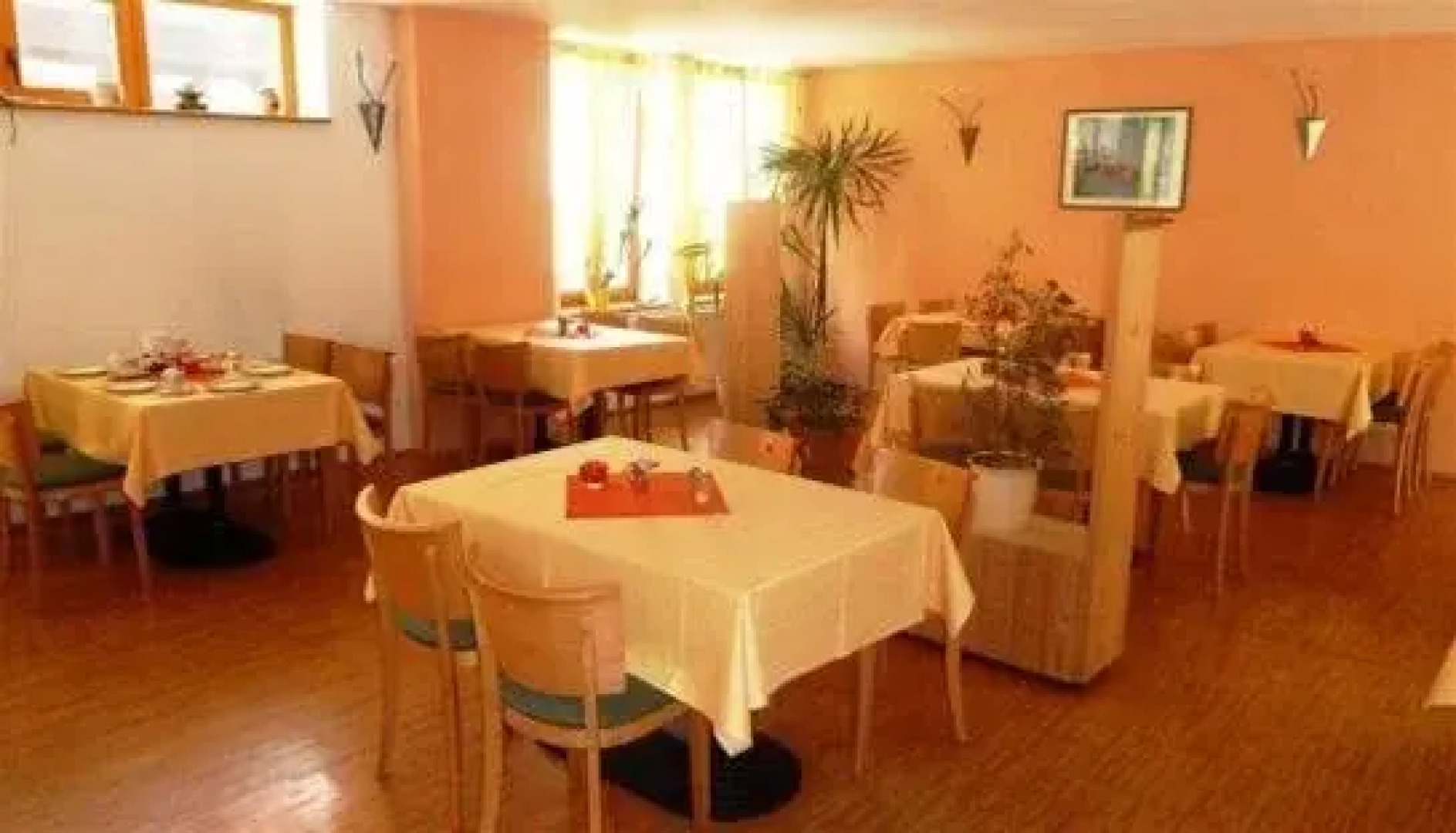 Meister BÄR HOTEL Sächsische Schweiz