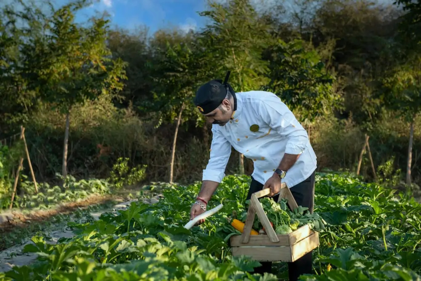 WelcomHeritage Cheetagarh Resort and Spa