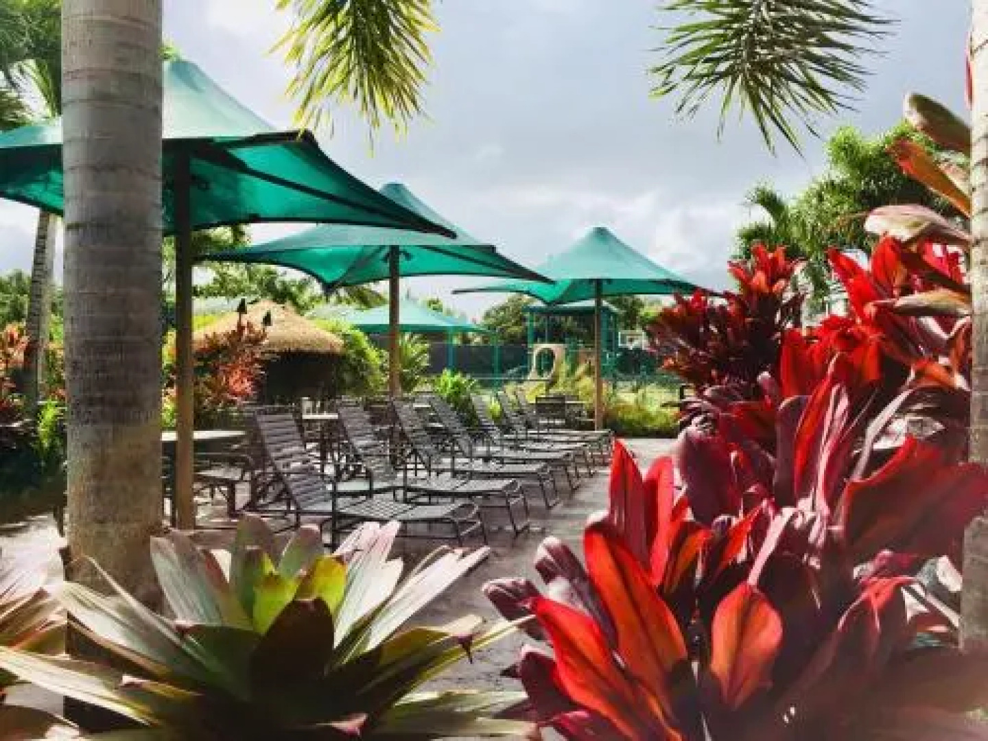 Cliffs at Princeville #3201