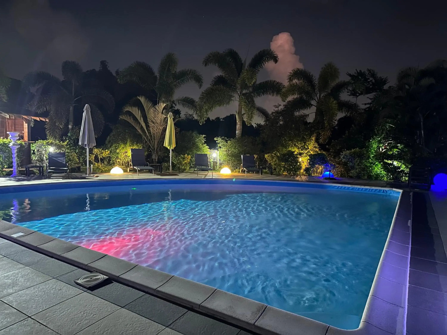 Appartement Coeur de Papillon