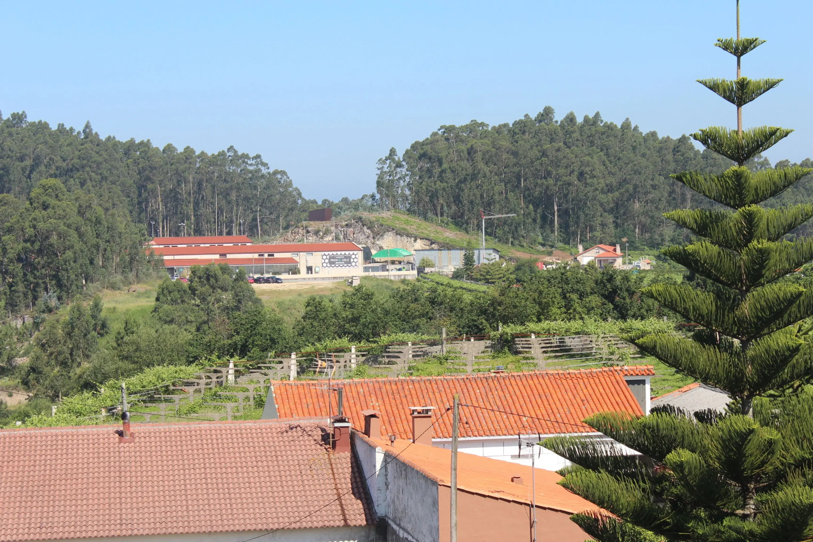 Pensión Casa Rodiño