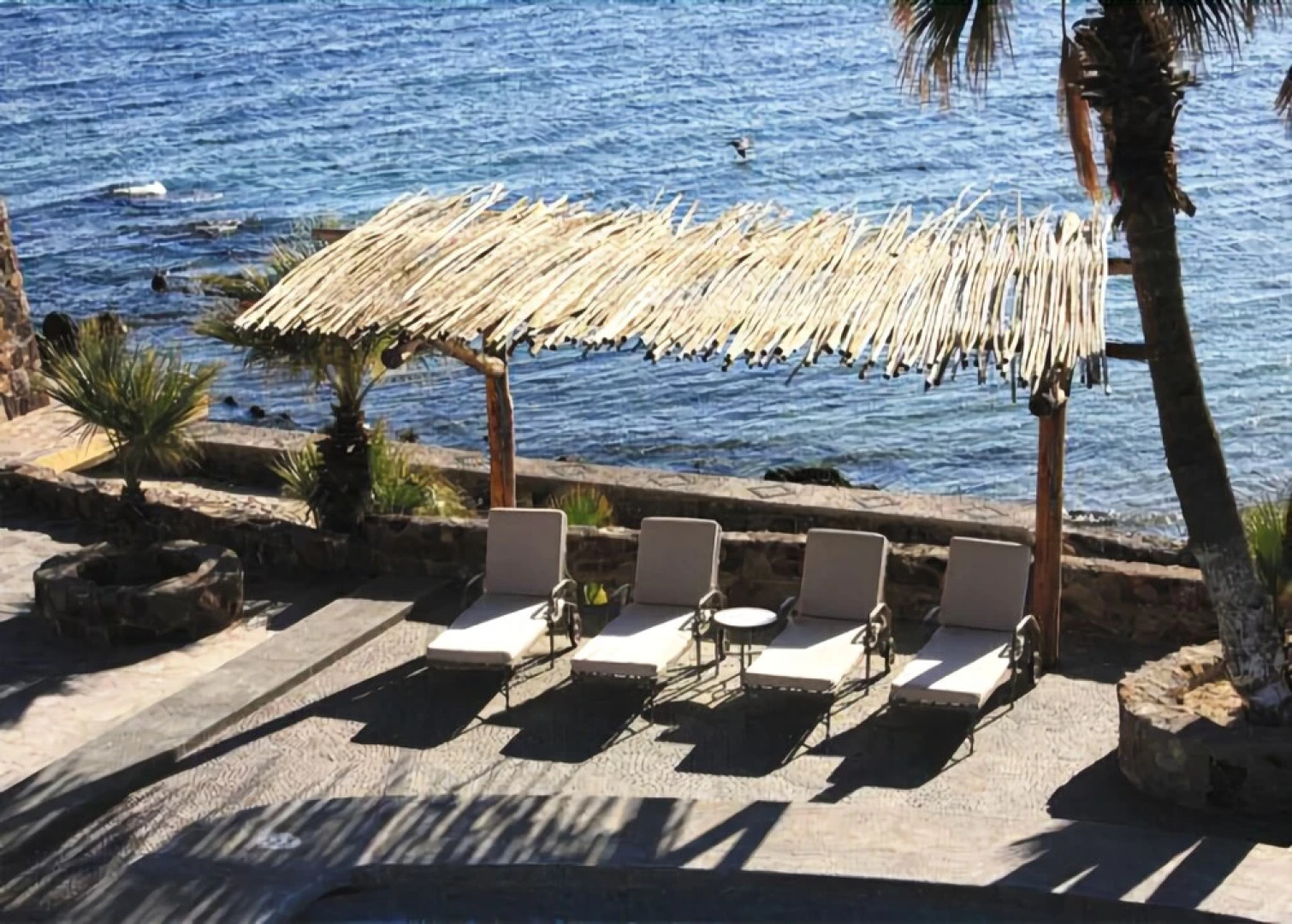Posada de las Flores Resort - Punta Chivato