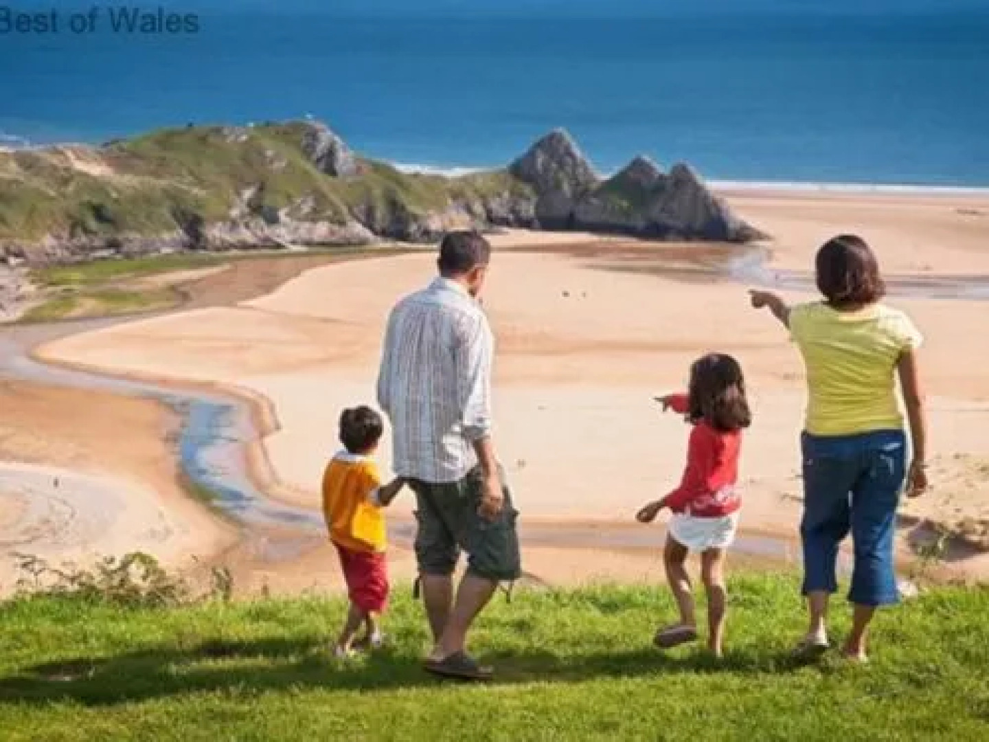 House Cilybe Swansea