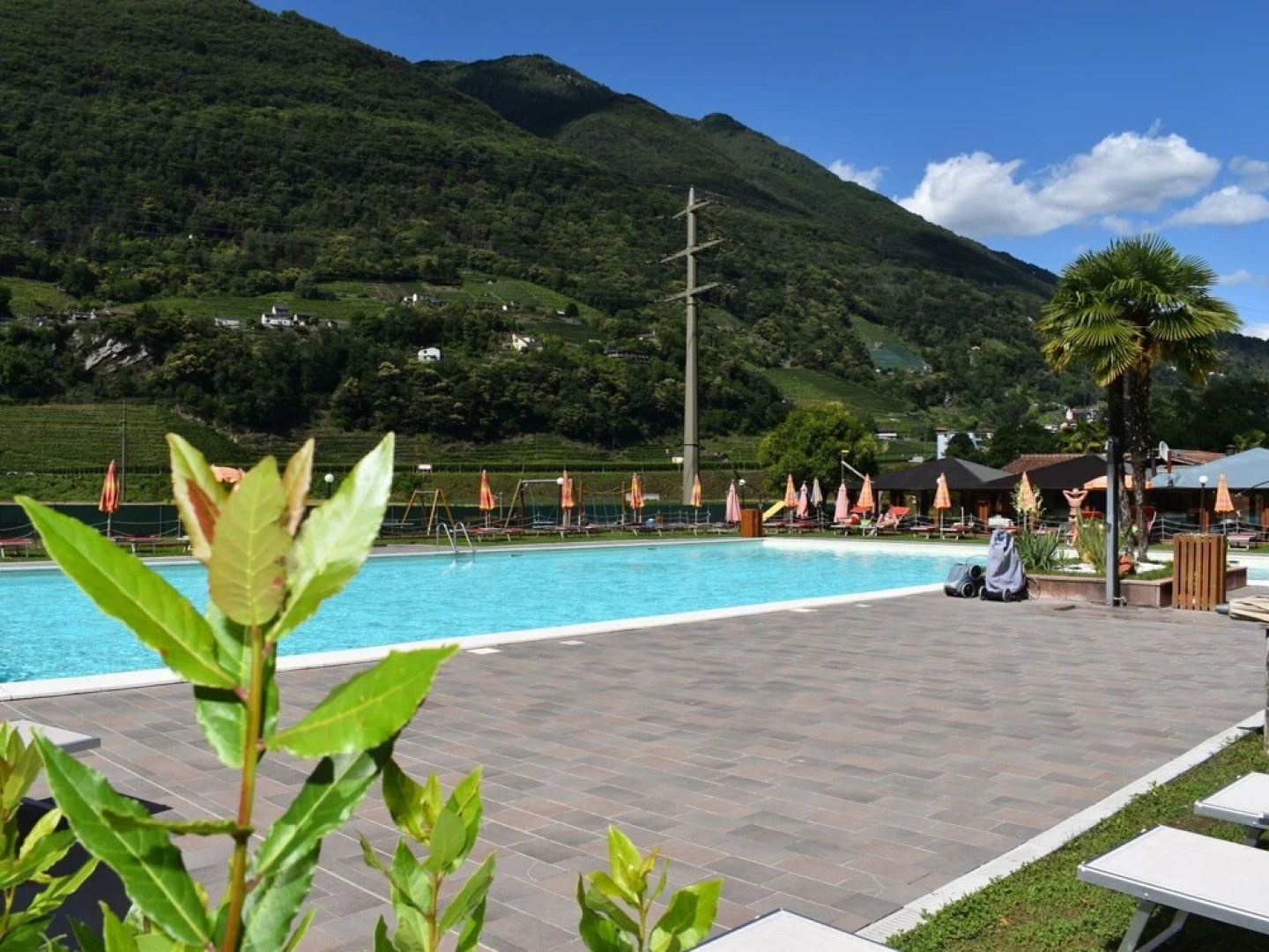 Bungalow Isola Premium Gudo