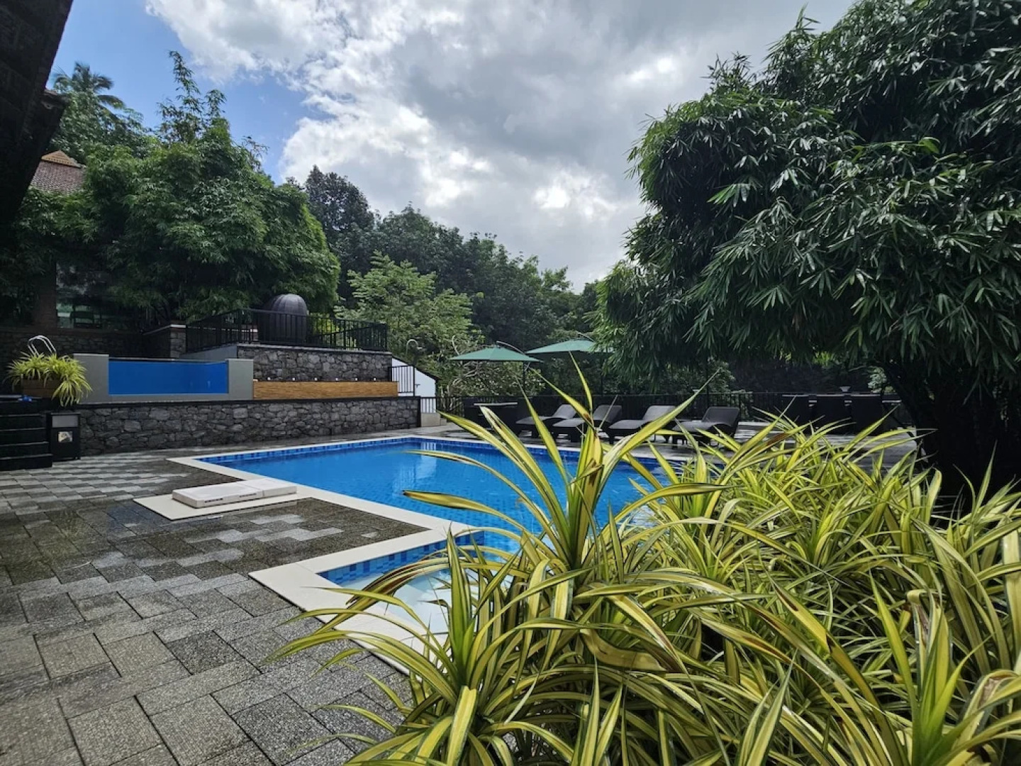 Athirapilly Green Trees