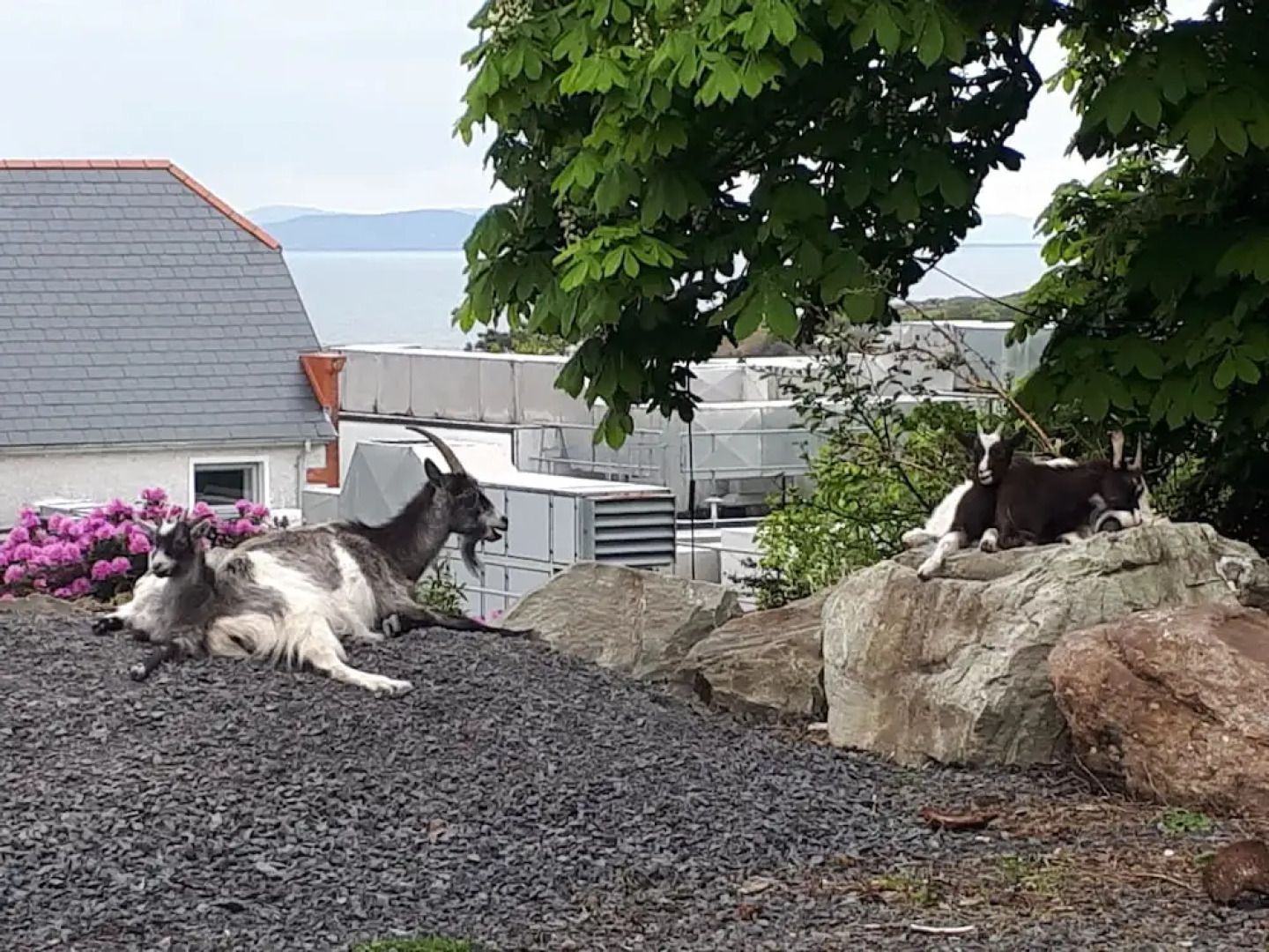 Mulranny Superior Lodges