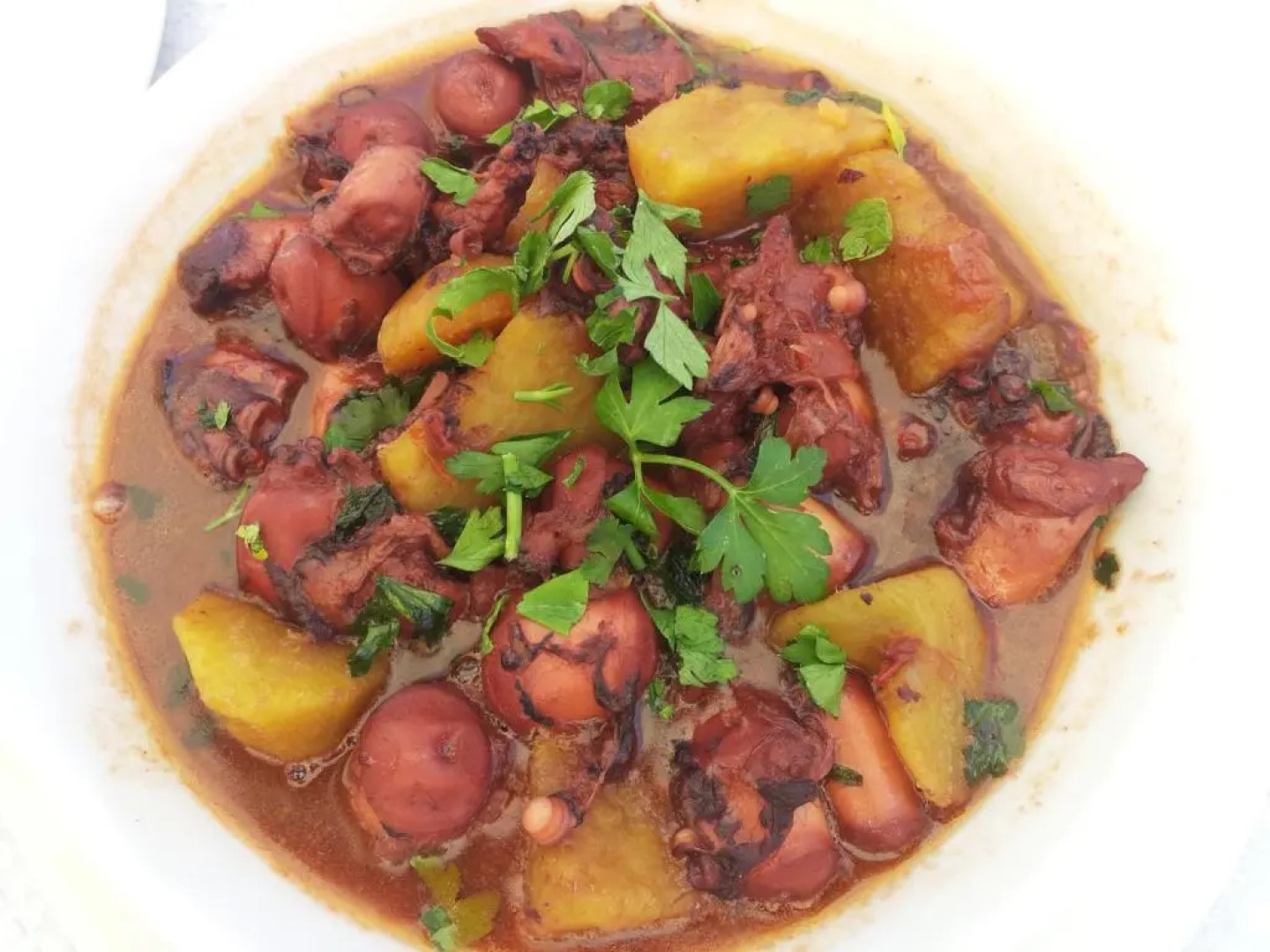 Gato Preto de Silves