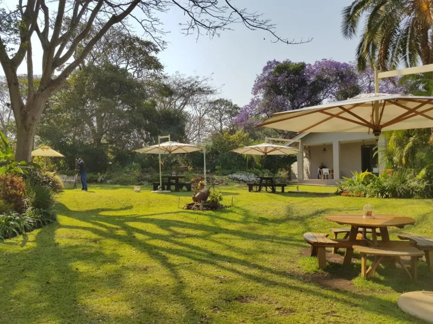 Mijn Kitchen Coffee Shop and B&B