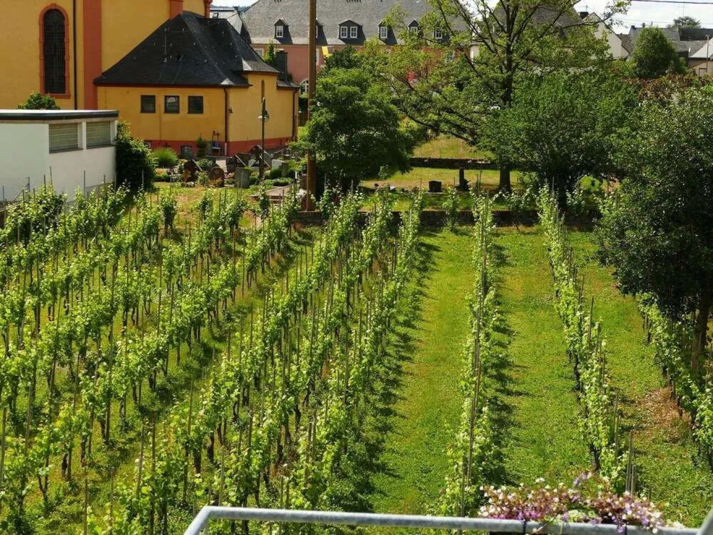 Cosy Flat in Trittenheim in a Charming Area