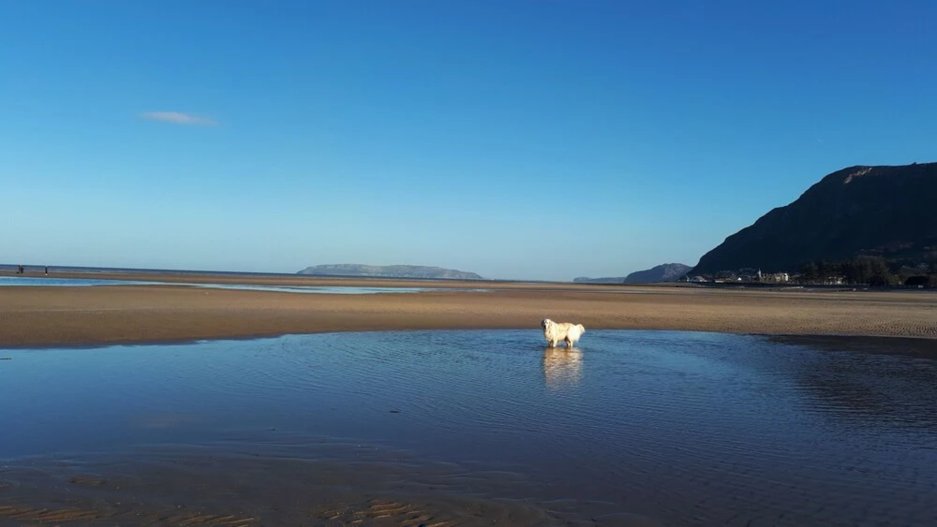 Min Y Don Guest House