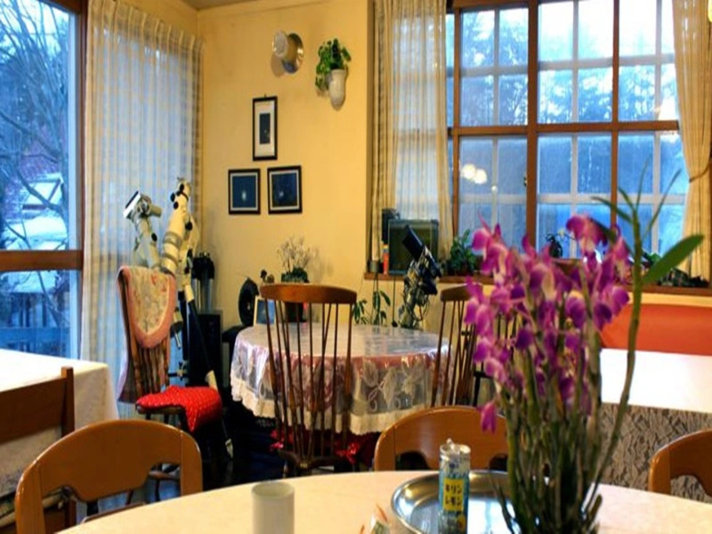 Petit Pension Il Elle